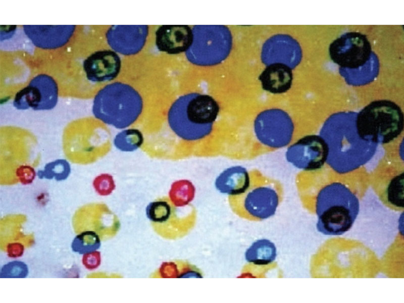 Flexo-Impression-Défauts-de-Donuts