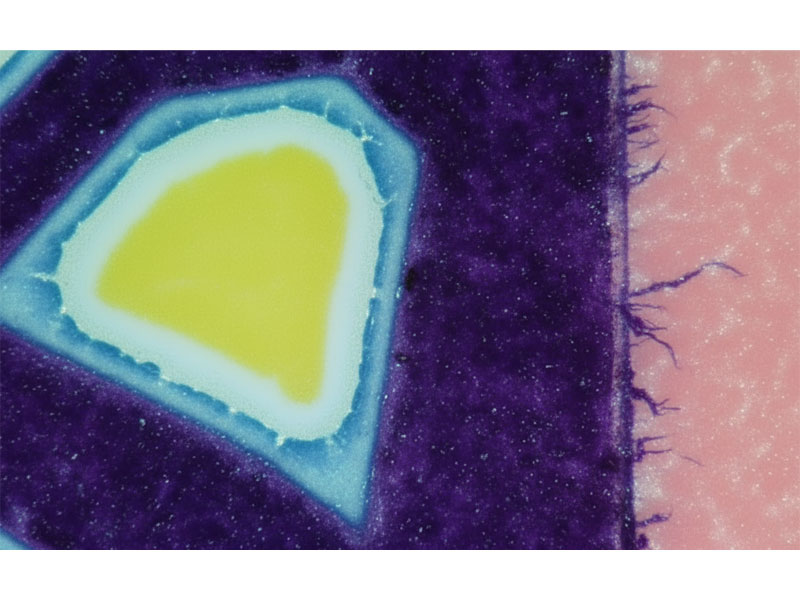 Gain de points excessif de l'effet de halo