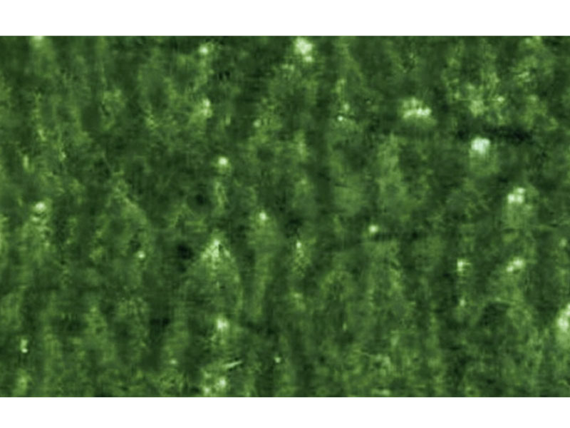 Flexo-Impression-Défauts-d'image marbrée